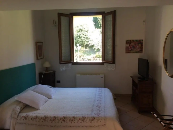 Deluxe Suite with view