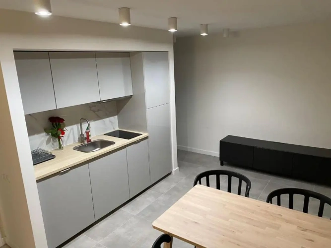 1 Bedroom Apartment