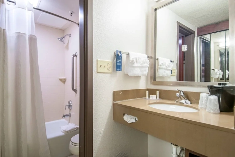 1 Bedroom Suite