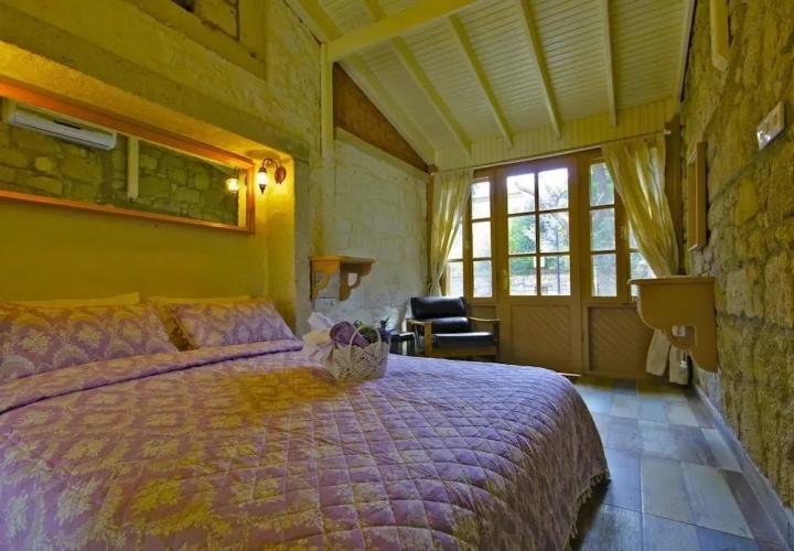 Deluxe Double room with garden view