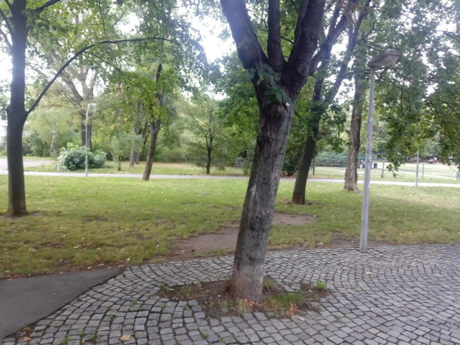 Vienna as it's best