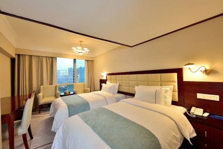 Superior Twin room with city view