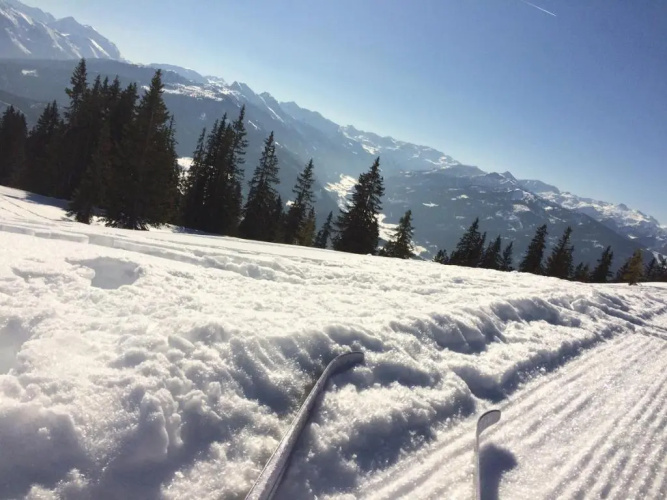 Zur lieben Sonne