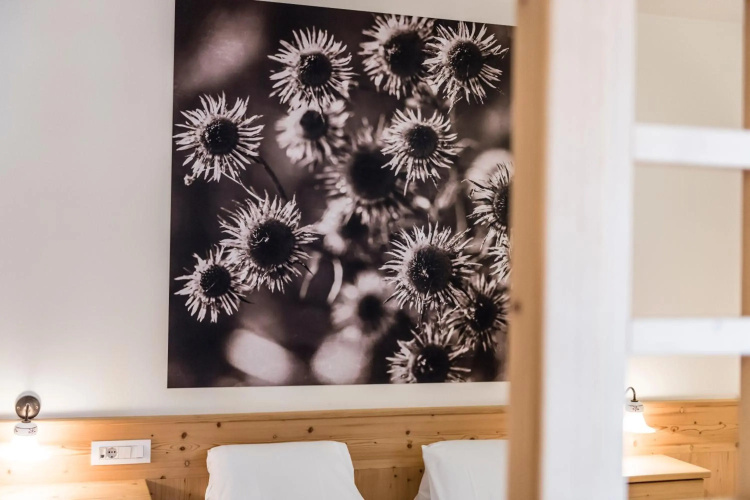 Apartment Lodge Gasserhof