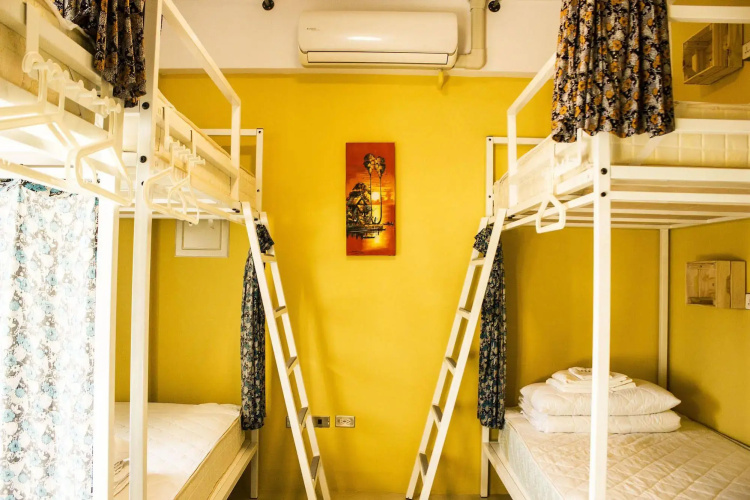 Comfy Hostel