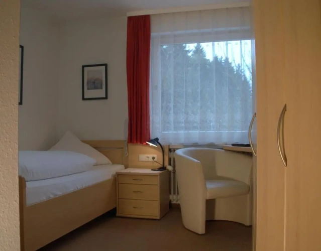 Standard Double room with balcony and with view