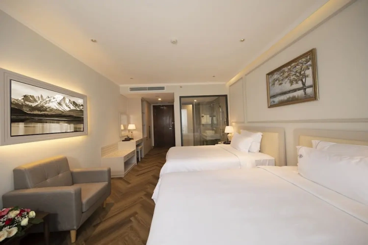 Deluxe Twin room with city view