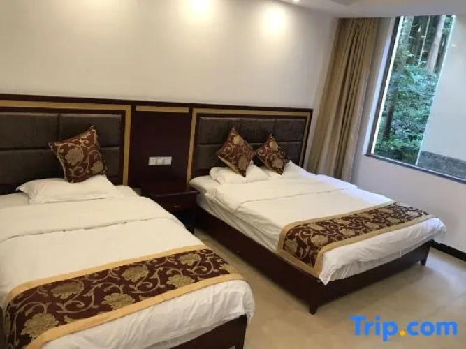 Standard Twin room with mountain view