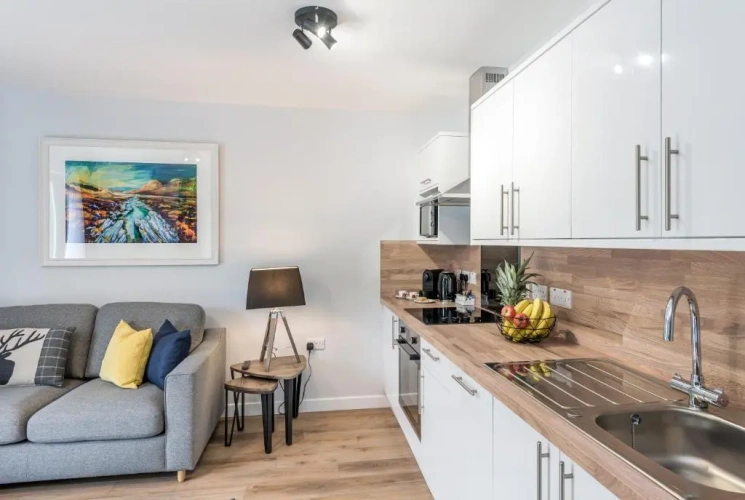 1 Bedroom Apartment