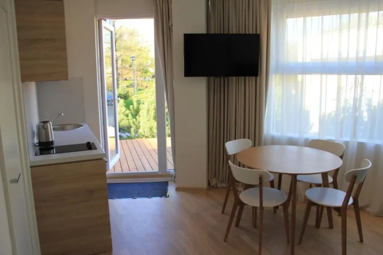 Deluxe Apartment with view