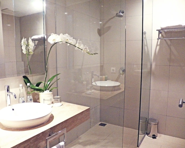 Deluxe Twin room with city view