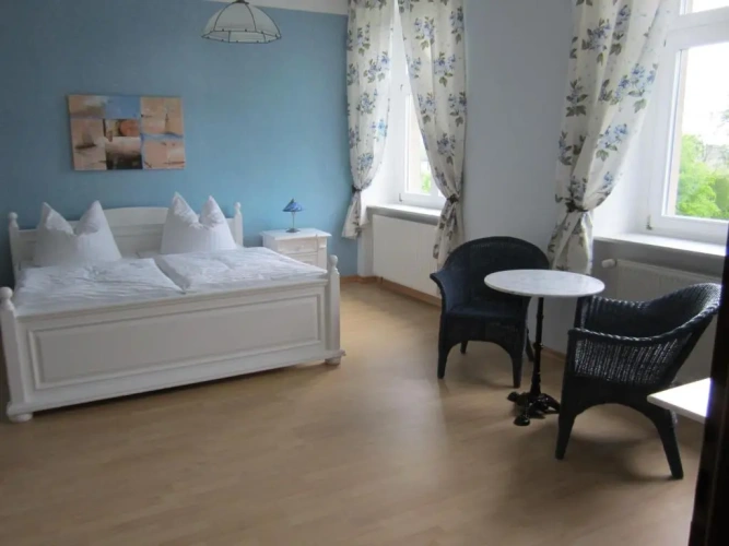 Standard Single room with park view