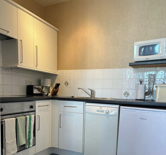 1 Bedroom Deluxe Apartment