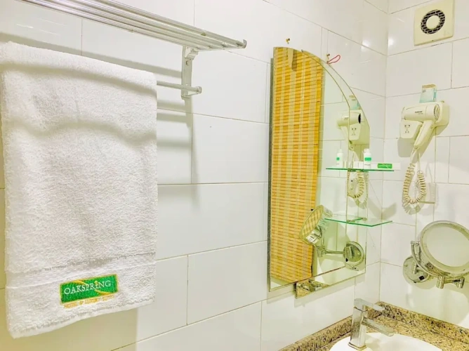 Premier Single room with city view
