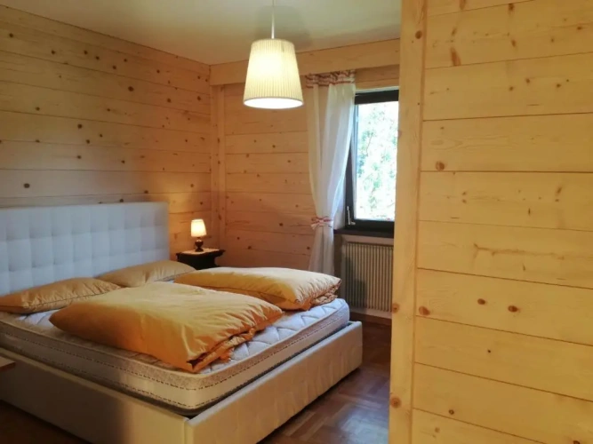 1 Bedroom Basement Apartment