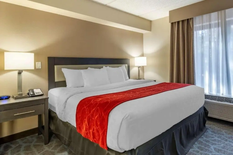 Standard room