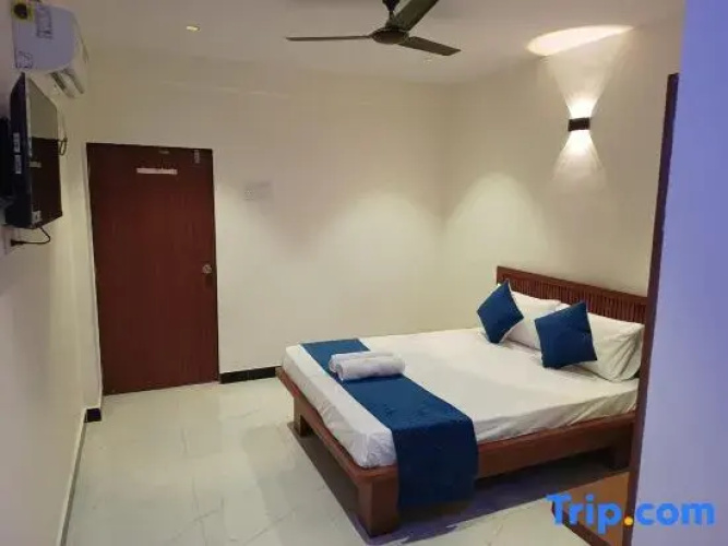 Starnexa residency