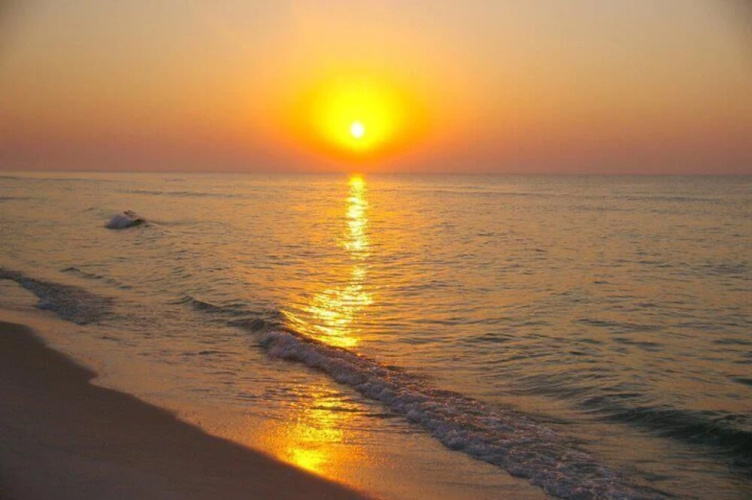 Perdido Key #D14 - 3 Br Condo