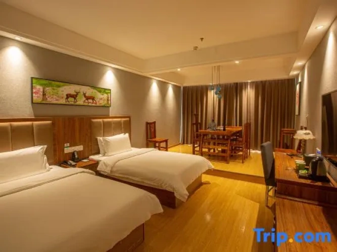 Deluxe Twin room with street view