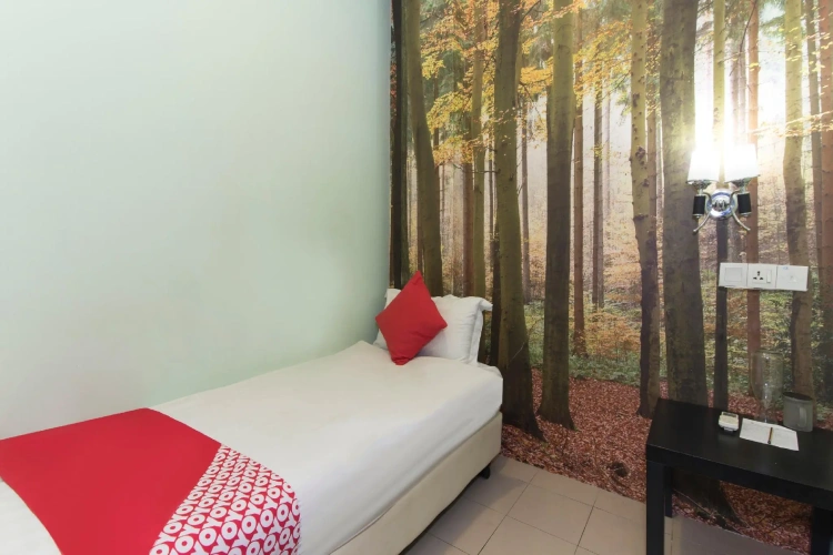 Standard Single room