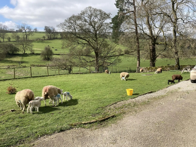Gratton Grange Farm Bed & Breakfast