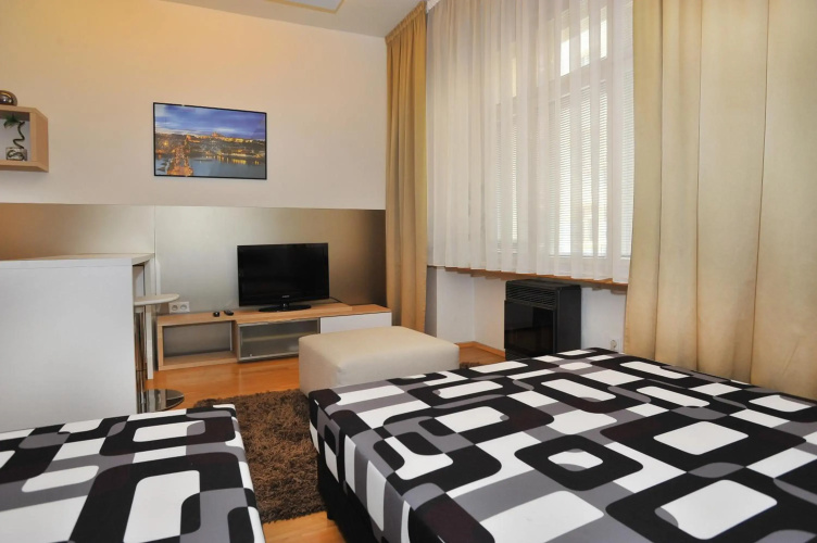 Apartment Elišky Krásnohorské