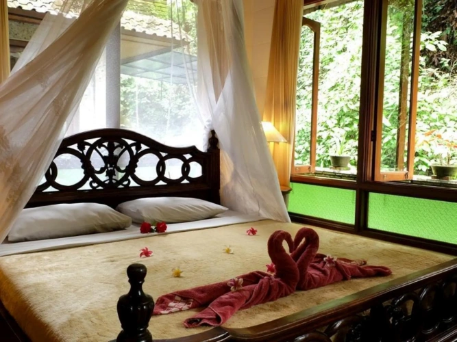 Deluxe Single room