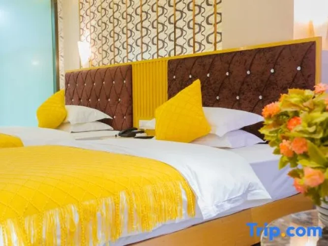 Standard Double room with city view