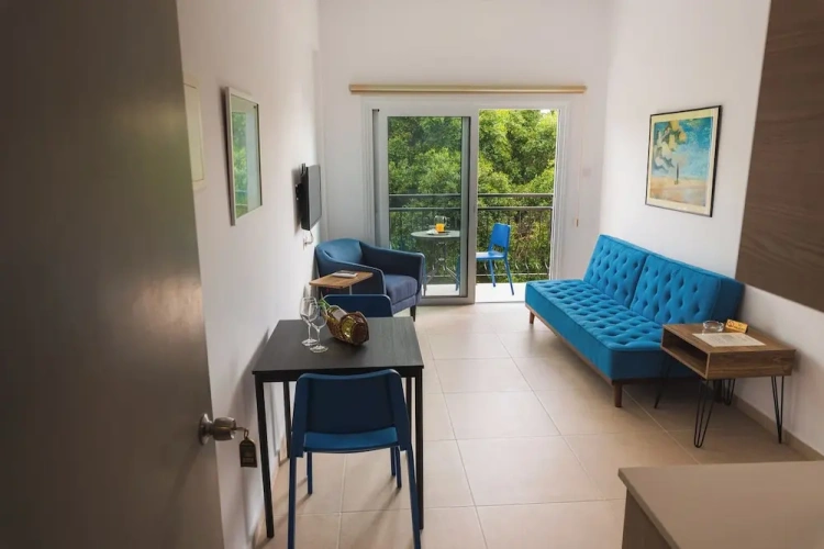 1 Bedroom Standard Apartment with sea view