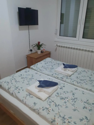 Apartment No 11