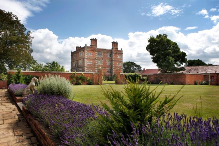 Standard Double room with garden view