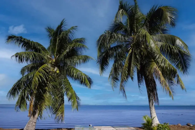 Fare Hani in Moorea-maiao