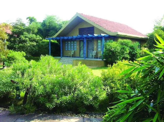 Celebration Van Vilas Bandhavgarh