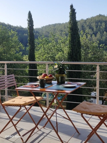 Standard Double room with garden view