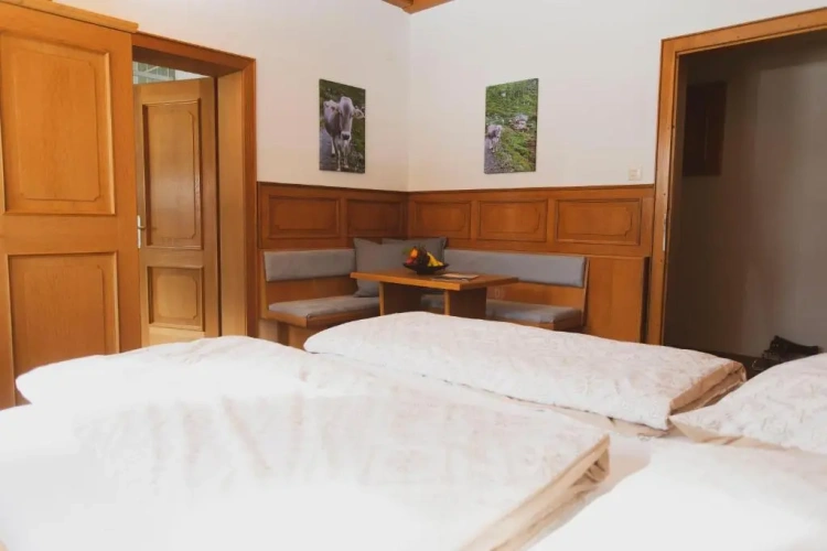 Standard Double room with mountain view
