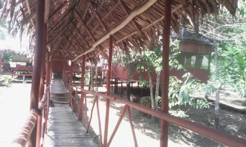 Amazon Queen Lodge