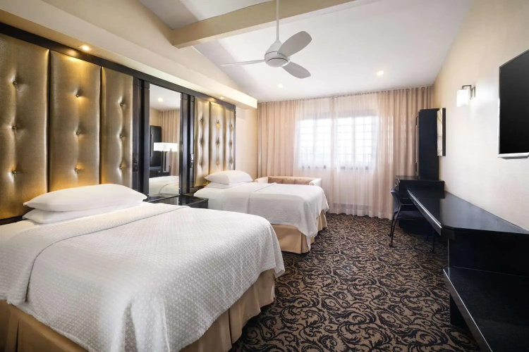 Terra Nova All Suite Hotel photo 6