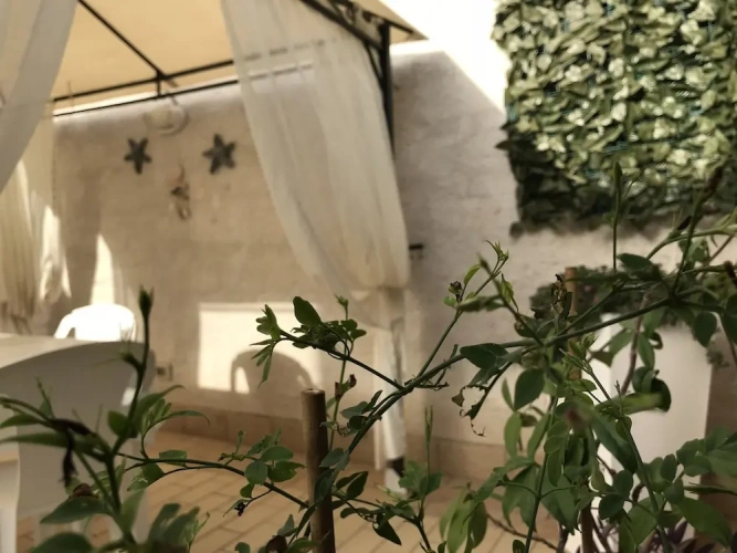1 Bedroom Standard Double room