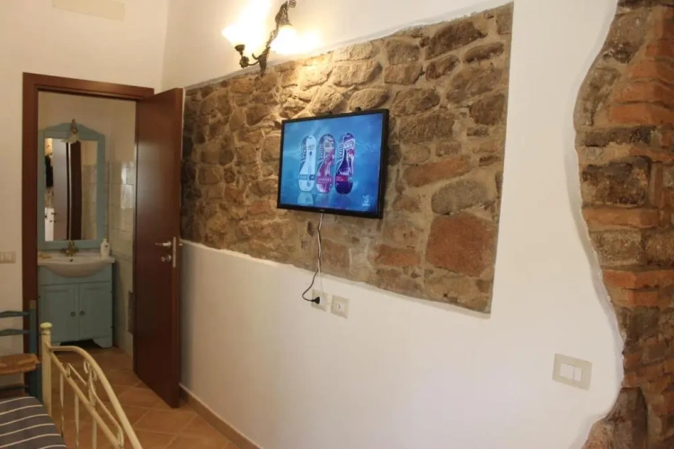 Basement Apartment