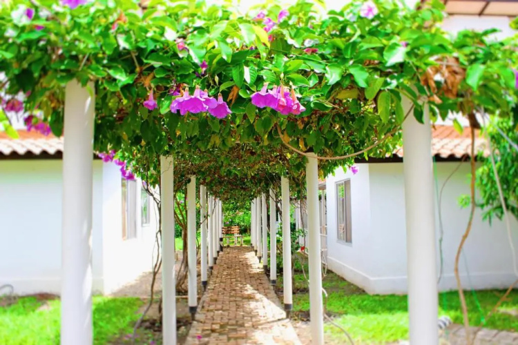 Villa Alejandra