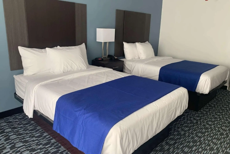 Quadruple Suite