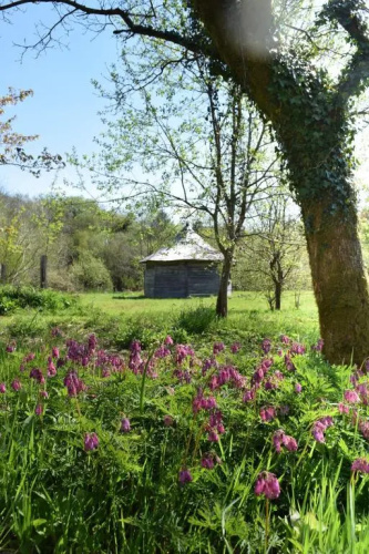 The Granite House