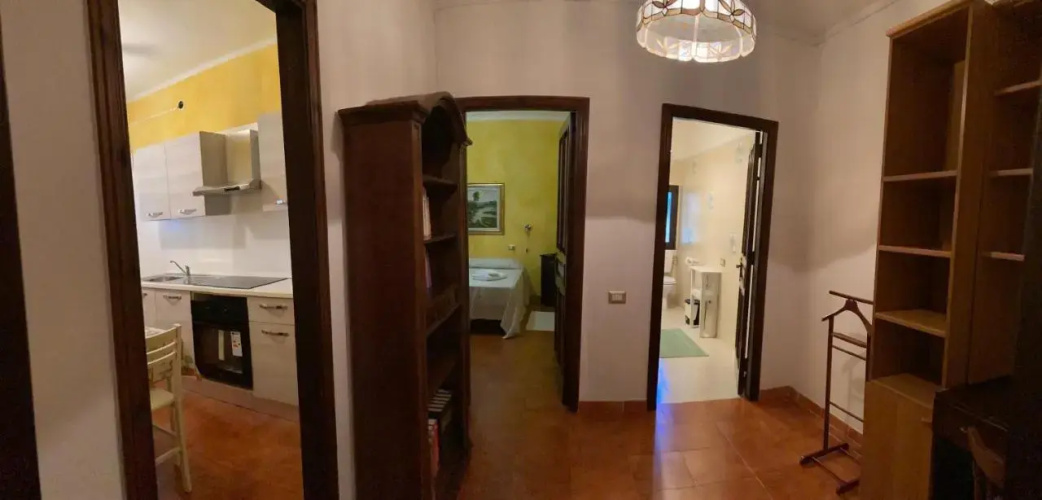 B&B Araxi