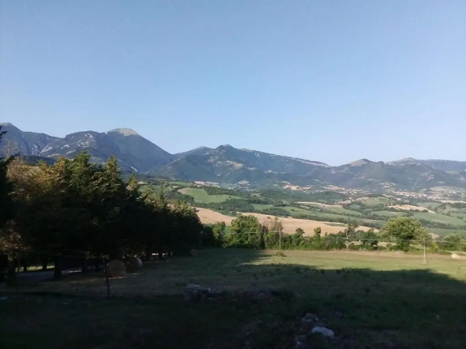 B&B La casa nel bosco