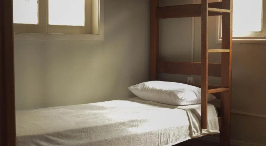 The Backpacker Cat Hostel