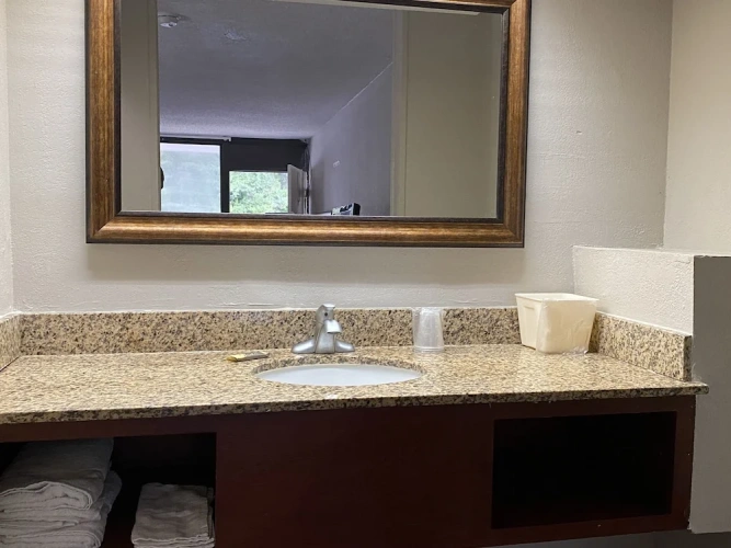 1 Bedroom Suite