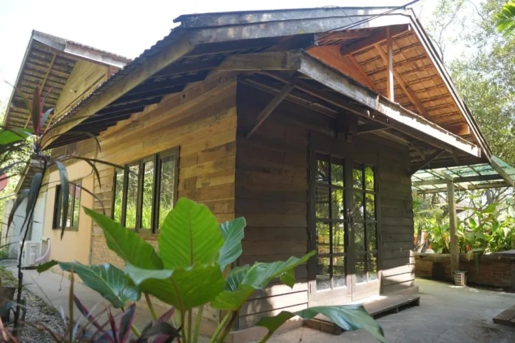 Standard Double room with garden view