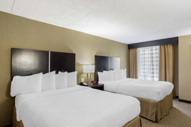 Quadruple Suite