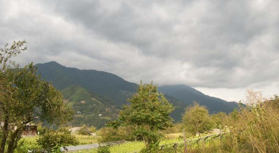 Outside