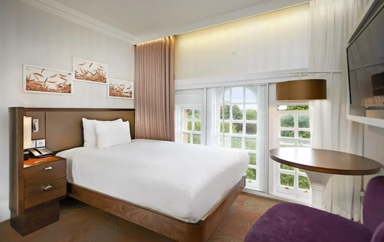 Guest Single room